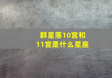 群星落10宫和11宫是什么星座