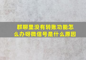 群聊里没有转账功能怎么办呀微信号是什么原因