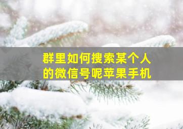 群里如何搜索某个人的微信号呢苹果手机