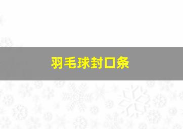 羽毛球封口条