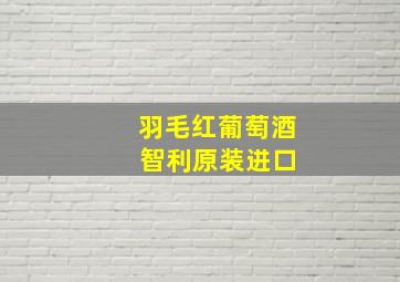 羽毛红葡萄酒 智利原装进口