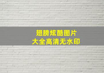 翅膀炫酷图片大全高清无水印