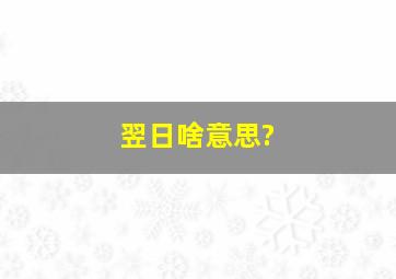 翌日啥意思?