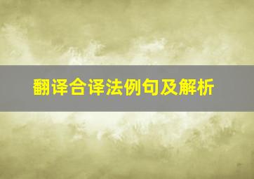 翻译合译法例句及解析