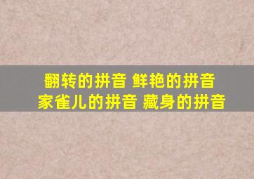 翻转的拼音 鲜艳的拼音 家雀儿的拼音 藏身的拼音