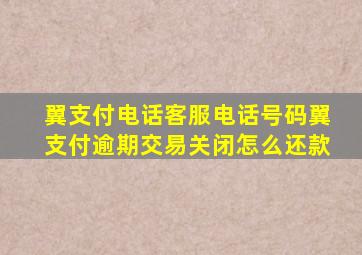 翼支付电话客服电话号码翼支付逾期交易关闭怎么还款