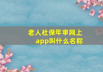 老人社保年审网上app叫什么名称