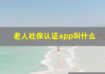 老人社保认证app叫什么