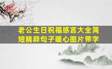 老公生日祝福感言大全简短精辟句子暖心图片带字