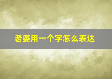 老婆用一个字怎么表达