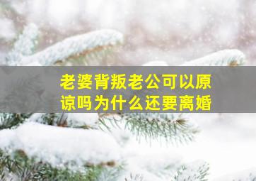 老婆背叛老公可以原谅吗为什么还要离婚