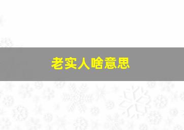 老实人啥意思