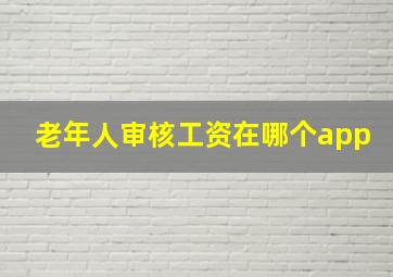 老年人审核工资在哪个app