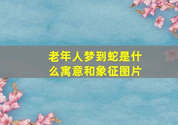 老年人梦到蛇是什么寓意和象征图片