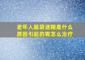 老年人脑袋迷糊是什么原因引起的呢怎么治疗