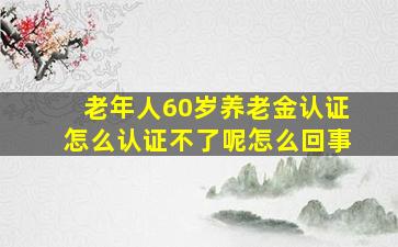 老年人60岁养老金认证怎么认证不了呢怎么回事