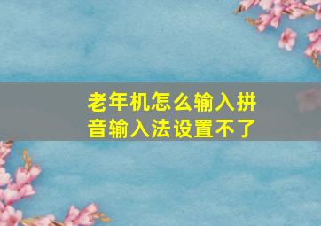 老年机怎么输入拼音输入法设置不了