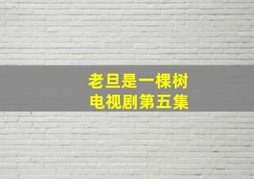 老旦是一棵树 电视剧第五集