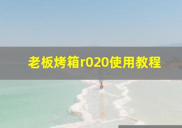 老板烤箱r020使用教程