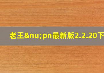 老王νpn最新版2.2.20下载