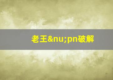 老王νpn破解