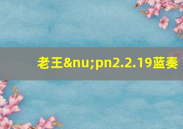 老王νpn2.2.19蓝奏