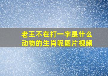 老王不在打一字是什么动物的生肖呢图片视频