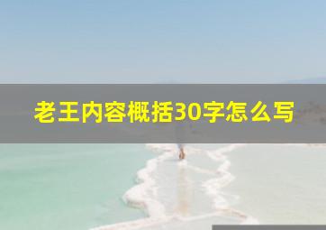 老王内容概括30字怎么写