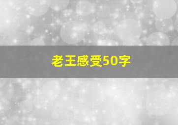 老王感受50字