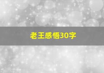 老王感悟30字