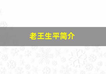 老王生平简介