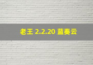 老王 2.2.20 蓝奏云