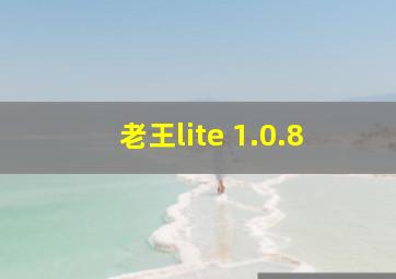 老王lite 1.0.8