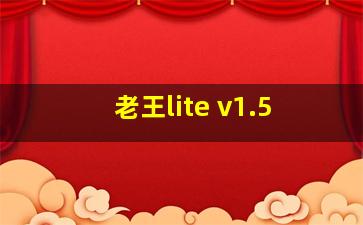 老王lite v1.5