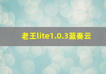 老王lite1.0.3蓝奏云