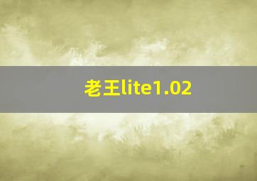 老王lite1.02