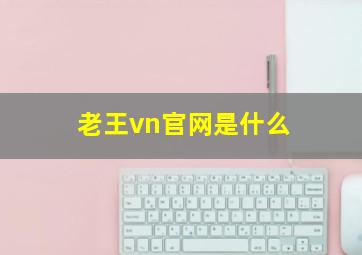 老王vn官网是什么