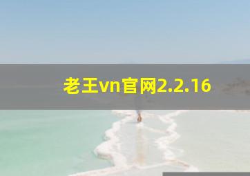 老王vn官网2.2.16