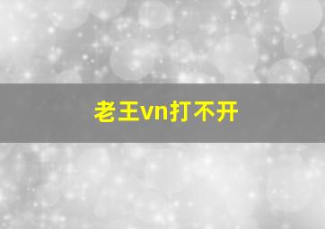 老王vn打不开