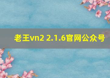 老王vn2 2.1.6官网公众号