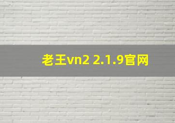 老王vn2 2.1.9官网