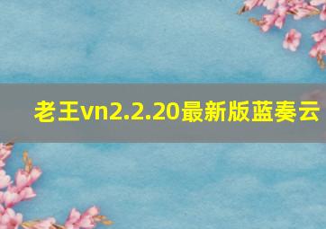 老王vn2.2.20最新版蓝奏云