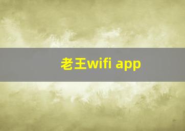 老王wifi app