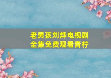 老男孩刘烨电视剧全集免费观看青柠