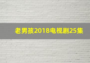 老男孩2018电视剧25集