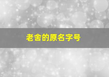 老舍的原名字号