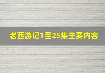 老西游记1至25集主要内容