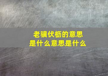 老骥伏枥的意思是什么意思是什么