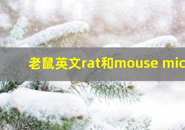 老鼠英文rat和mouse mice