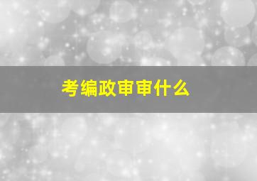 考编政审审什么